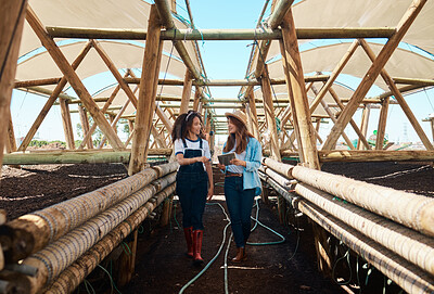 Buy stock photo Shot of two young women using a digital tablet while working together on a farm