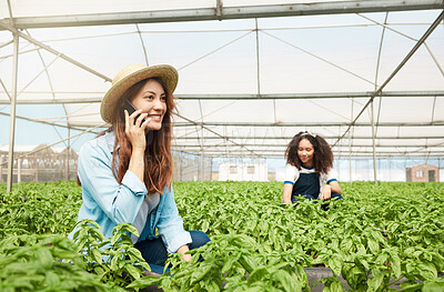 Buy stock photo Phone call, cannabis and woman in greenhouse for sustainable, eco friendly and agribusiness. Discussion, marijuana plants and female botanist with horticulture management, growth and cultivation.