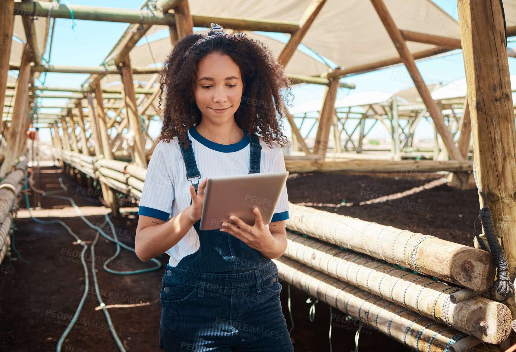 Buy stock photo Shot of a young woman using a digital tablet while working on a farm