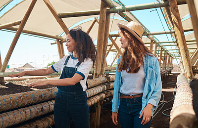 Buy stock photo Shot of two young women working together on a farm