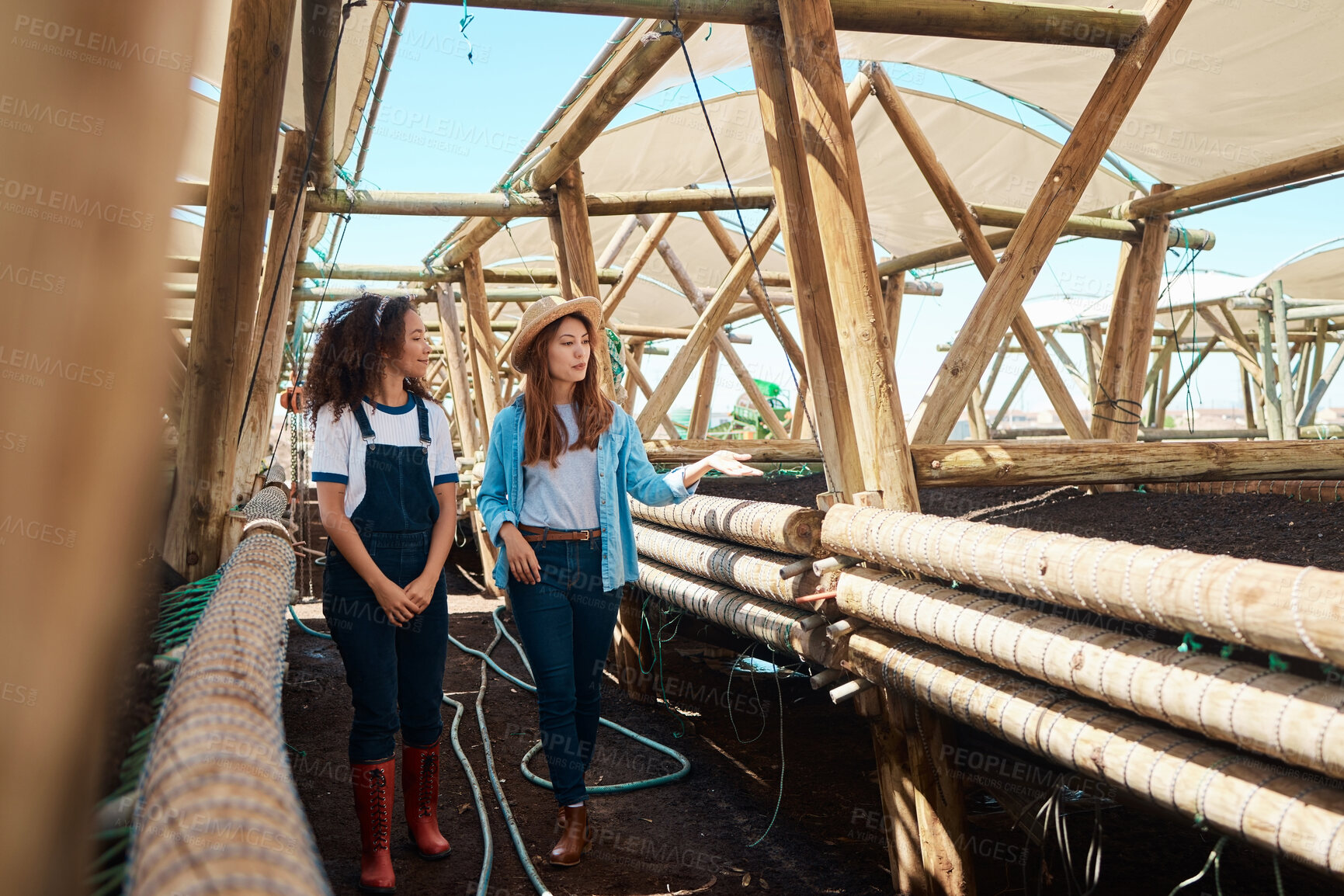 Buy stock photo Shot of two young women working together on a farm