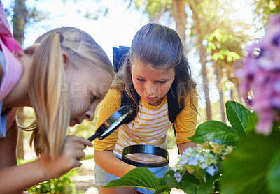 Buy stock photo Learning, magnifying glass and girls with leaf outdoor for looking at plants together. Education, children and magnifier lens to look at flowers exploring nature, forest or garden on school trip.