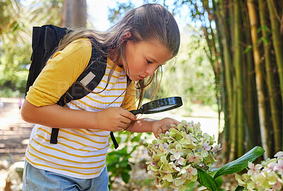 Buy stock photo Learning, magnifying glass and girl with flower outdoor for looking at plants at park. Education, child and magnifier lens to look at vegetation, exploring nature or garden on summer school trip.