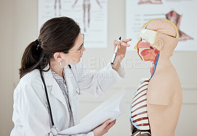 Buy stock photo Shot of a young female doctor examining a mannequin at a hospital