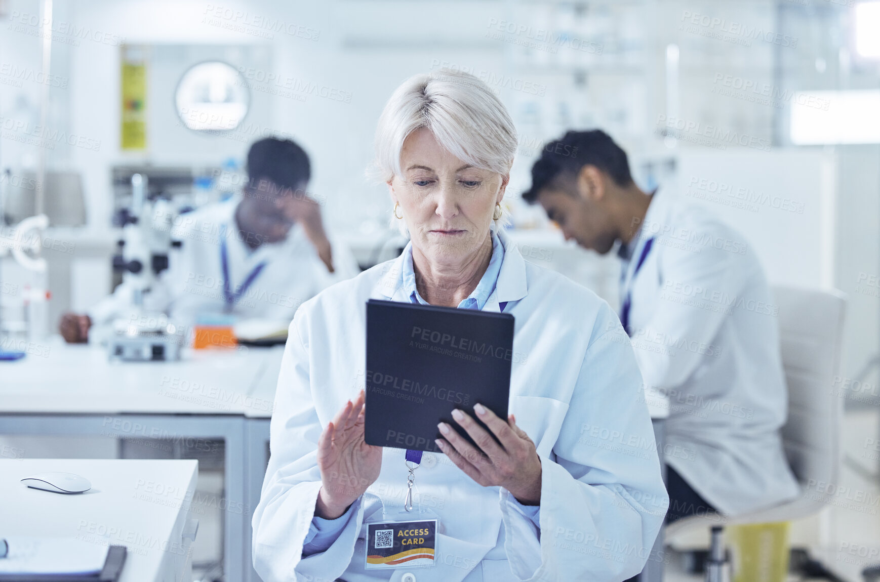 Buy stock photo Scientist, mature woman and tablet in lab for medical research, pharmaceutical information and check report. Science, professional and digital app for biotechnology, treatment development and study