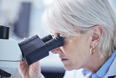 Buy stock photo Microscope, mature woman and scientist in lab, biotechnology and serious for science and healthcare. Proud, medical research and process for medicine, person and cure for mpox, chemistry and hospital