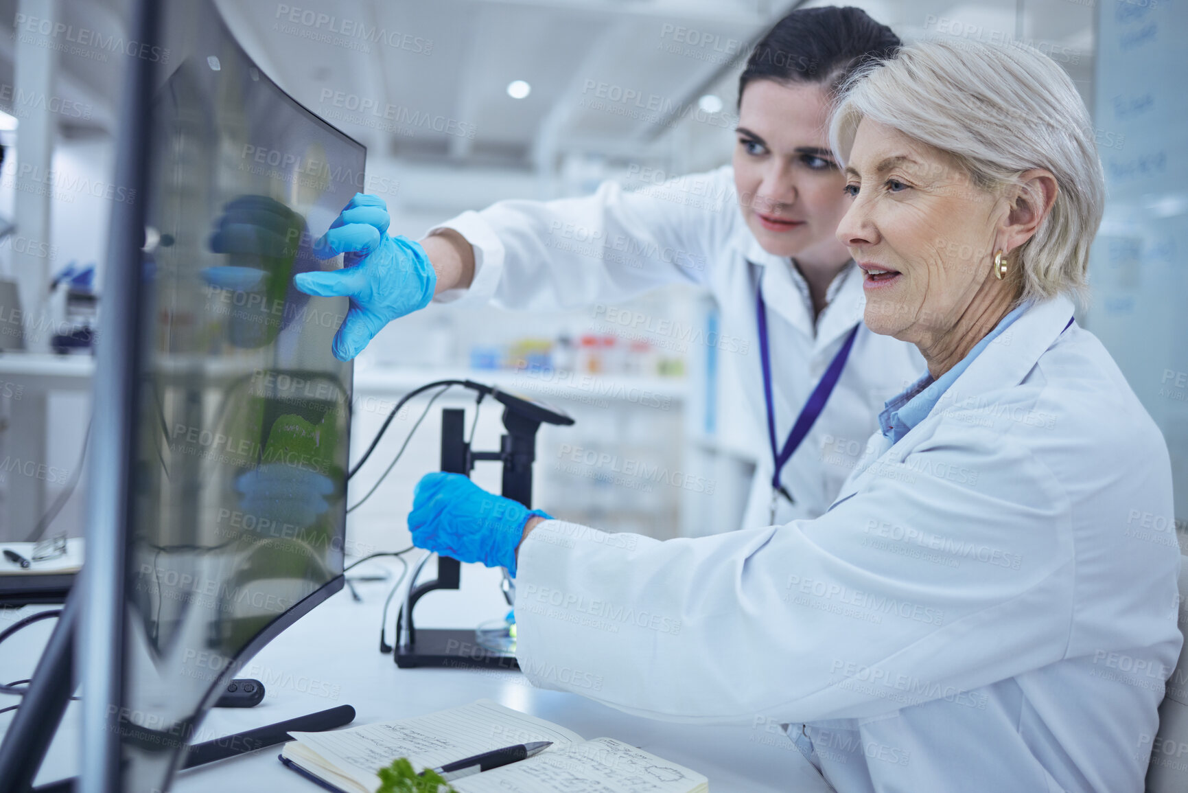 Buy stock photo Mature scientist, teamwork and medical research in chemistry lab, science experiment and pathology. Female people, technology and results for pharmaceutical test, analysis or mpox vaccine in clinic