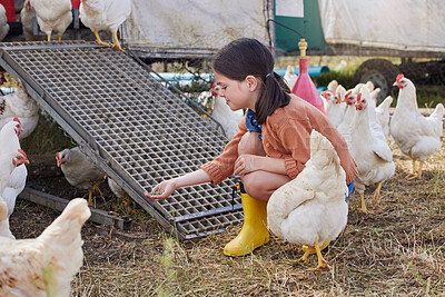 Buy stock photo Shot of an adorable little girl helping out on a poultry farm