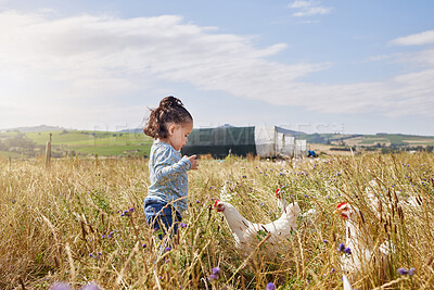 Buy stock photo Shot of an adorable little girl playing on a poultry farm