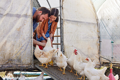 Buy stock photo Shot of a young girl helping her father on their poultry farm