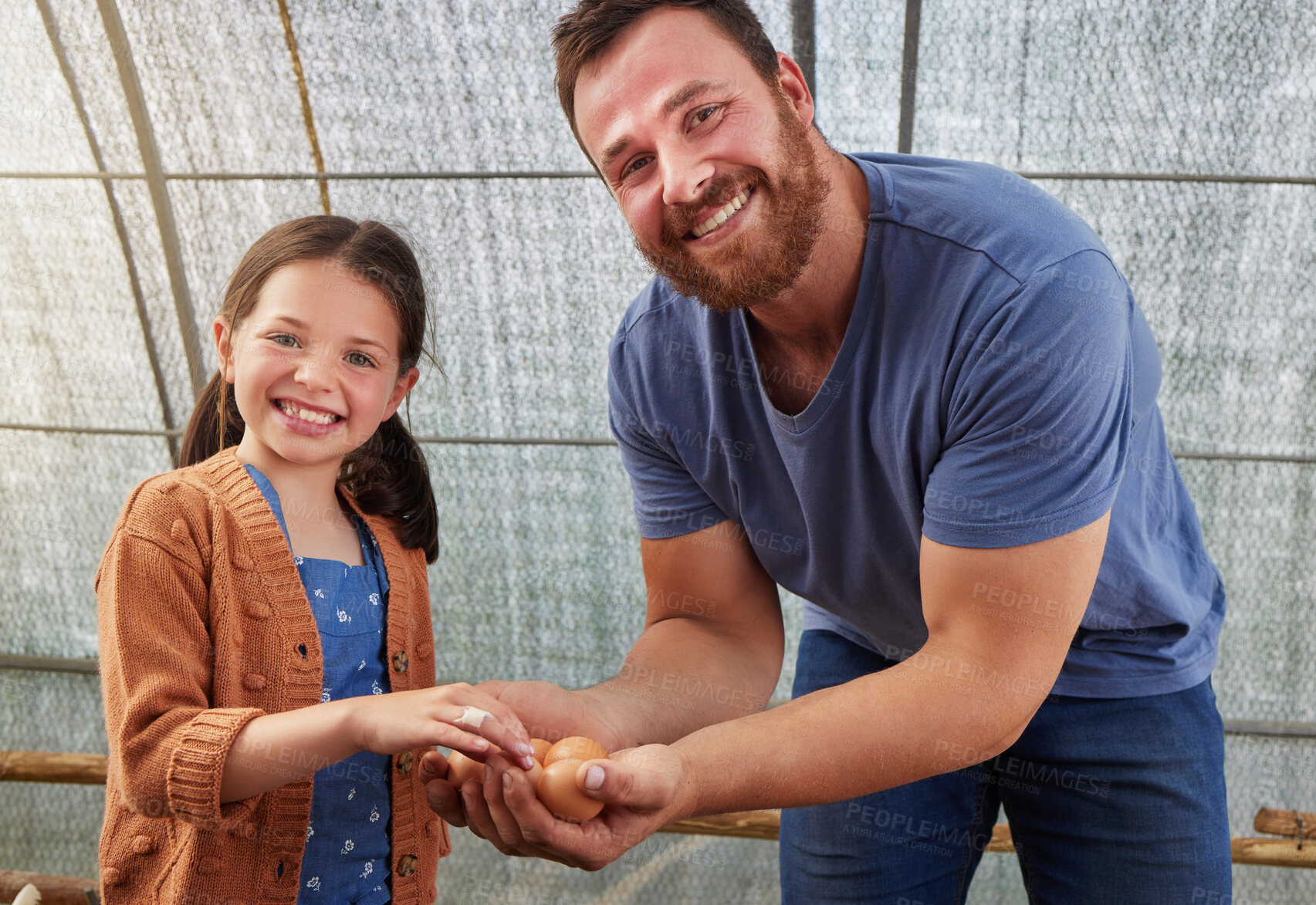 Buy stock photo Shot of a young girl helping her father on their poultry farm