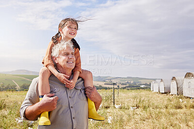 Buy stock photo Farm, chicken and grandpa with child in nature for sustainability, livestock and poultry. Agriculture, field and grandparent with girl with free range birds for protein, food industry and harvest