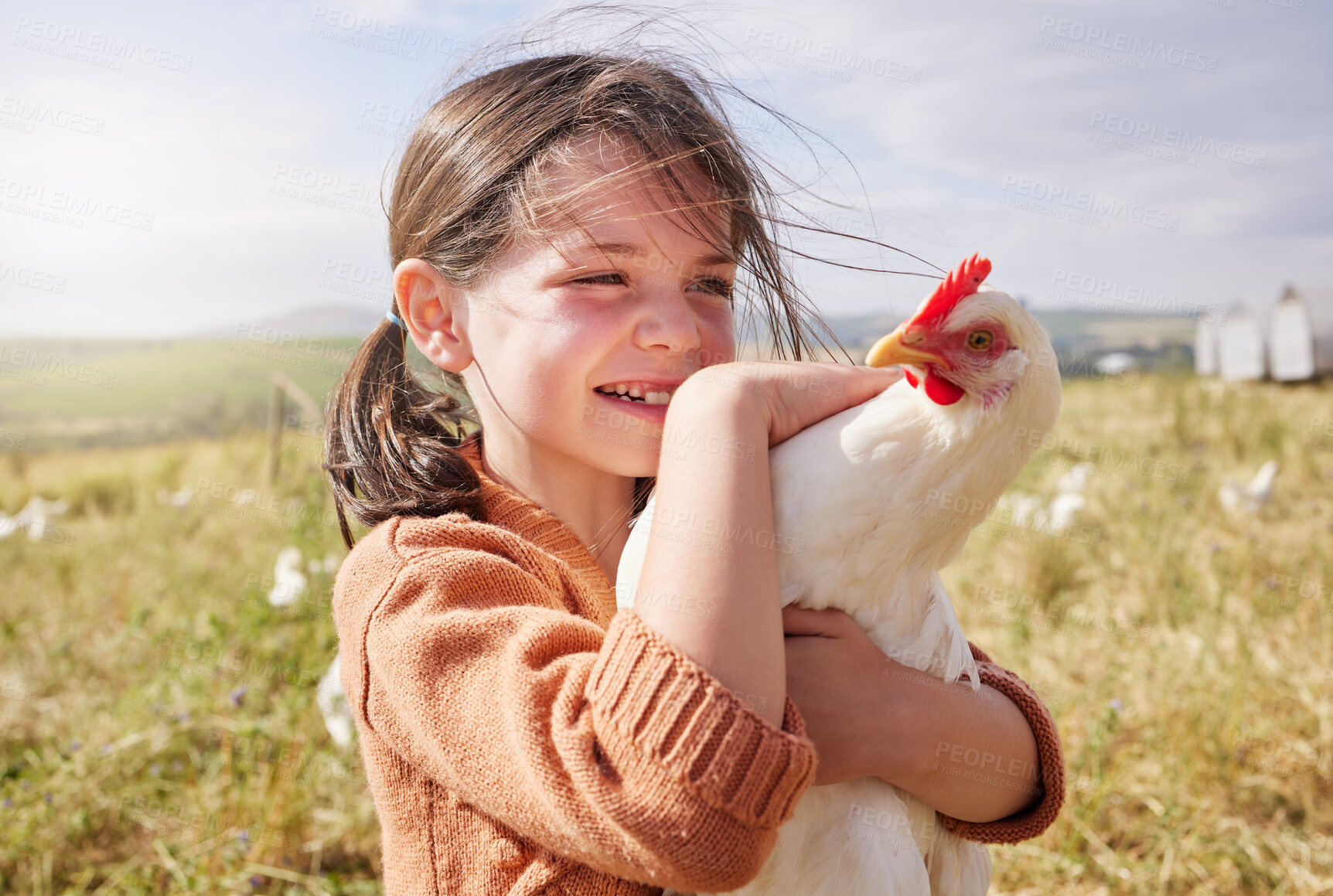 Buy stock photo Shot of an adorable little girl holding a chicken on a farm