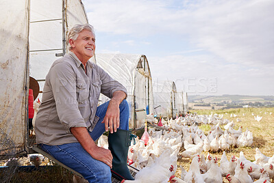 Buy stock photo Shot of a mature man working on a poultry farm