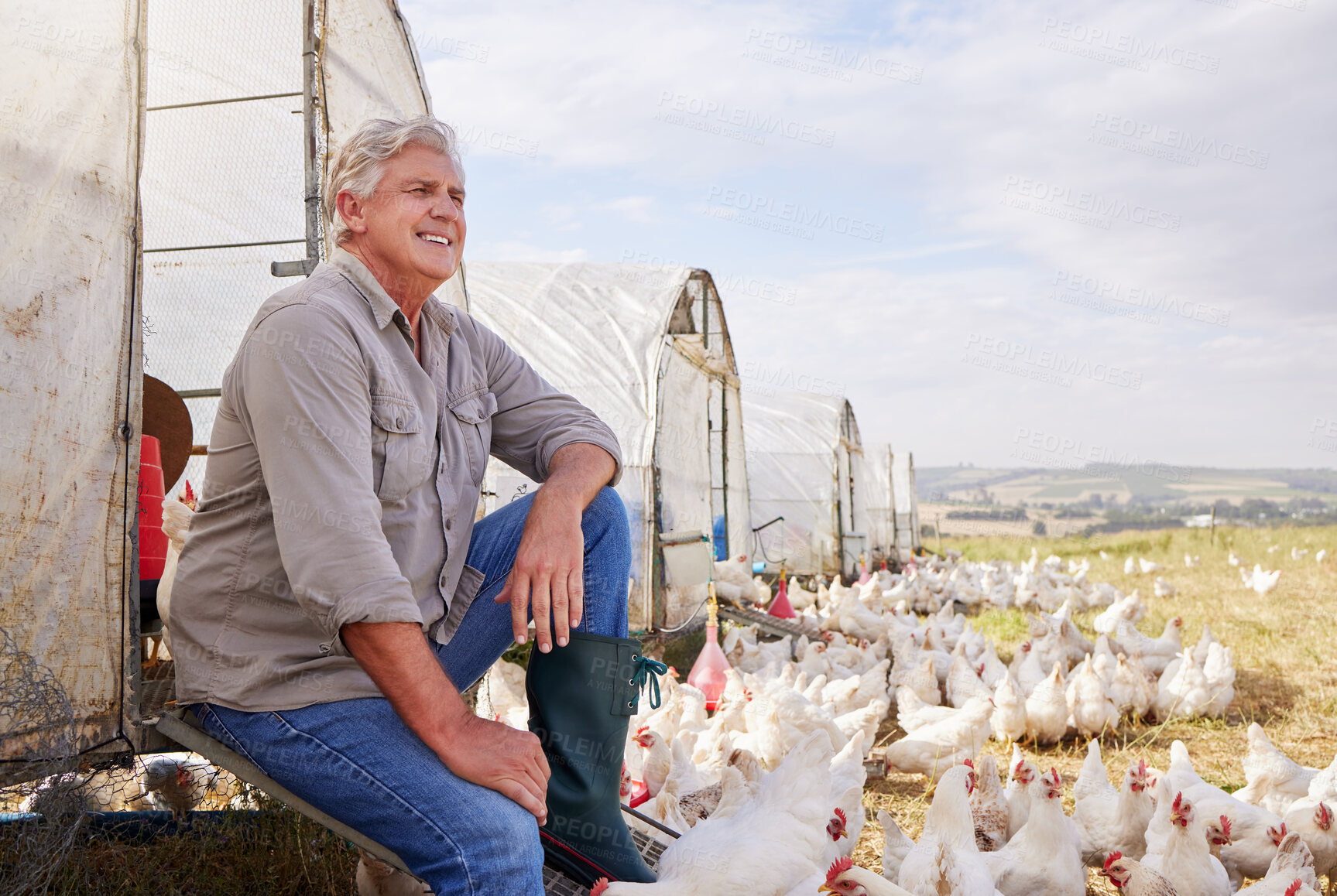 Buy stock photo Mature, man and thinking on farm outdoor for planning, agriculture growth and egg production. Person, reflection and poultry farming with chickens, animal welfare and harvest industry in countryside