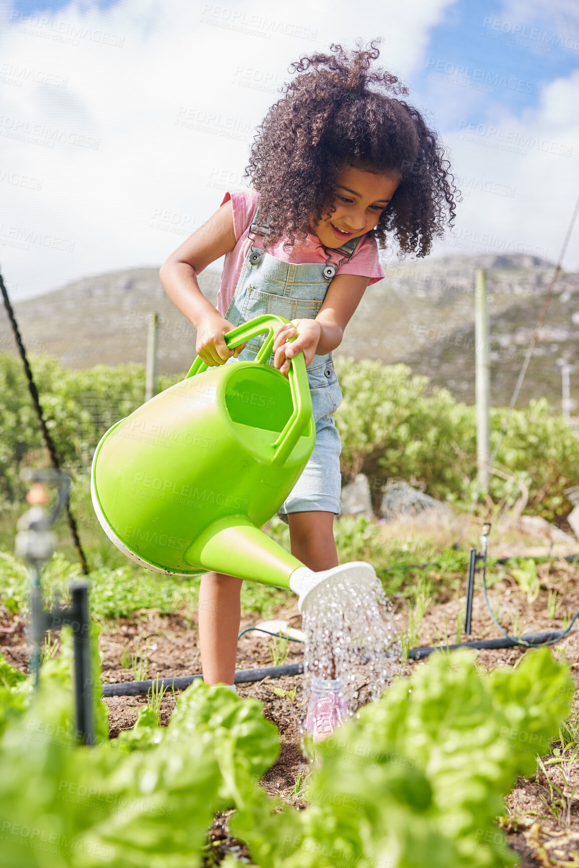 Buy stock photo Full length shot of an adorable little girl working on a farm