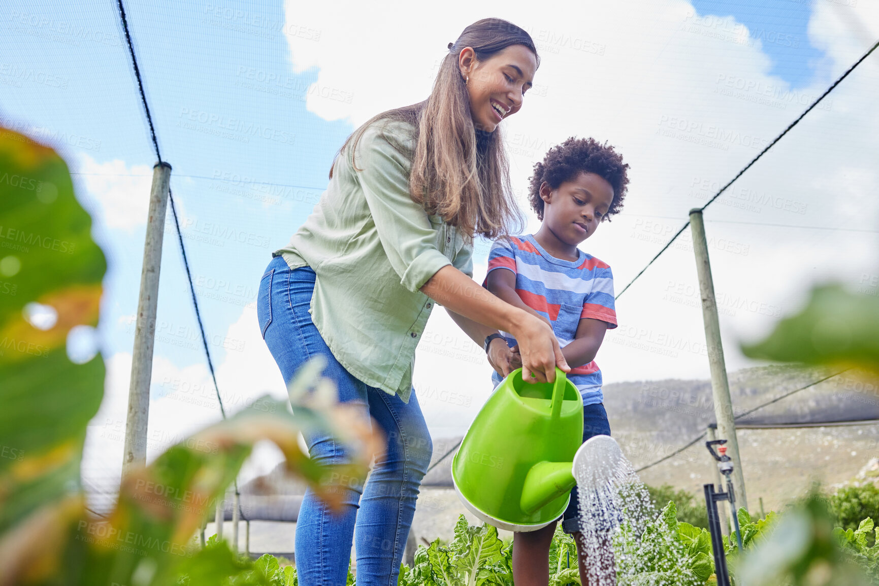 Buy stock photo Cropped shot of an attractive young woman and adorable little boy working on a farm