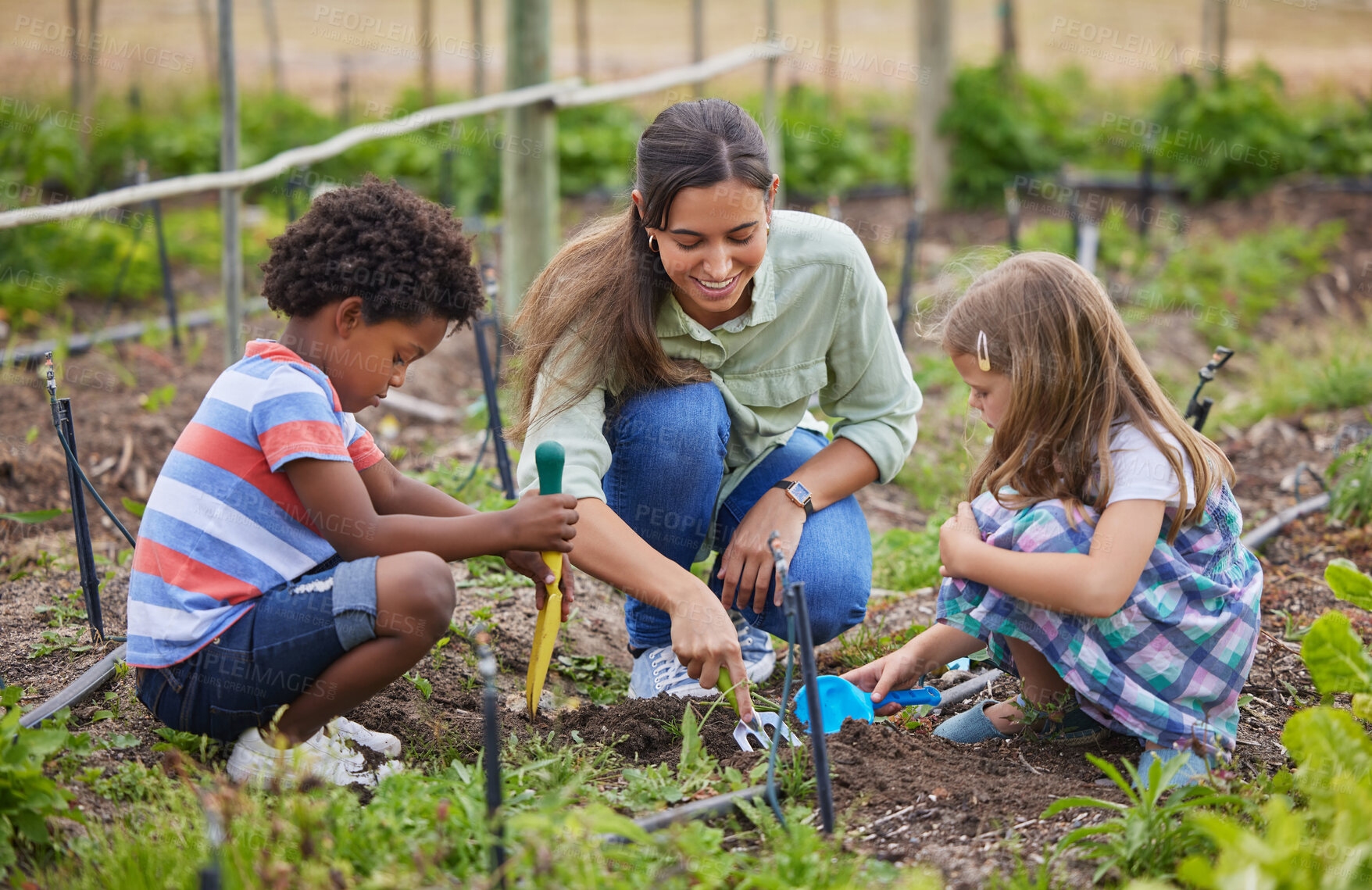 Buy stock photo Full length shot of an attractive young woman and two adorable little kids working on a farm