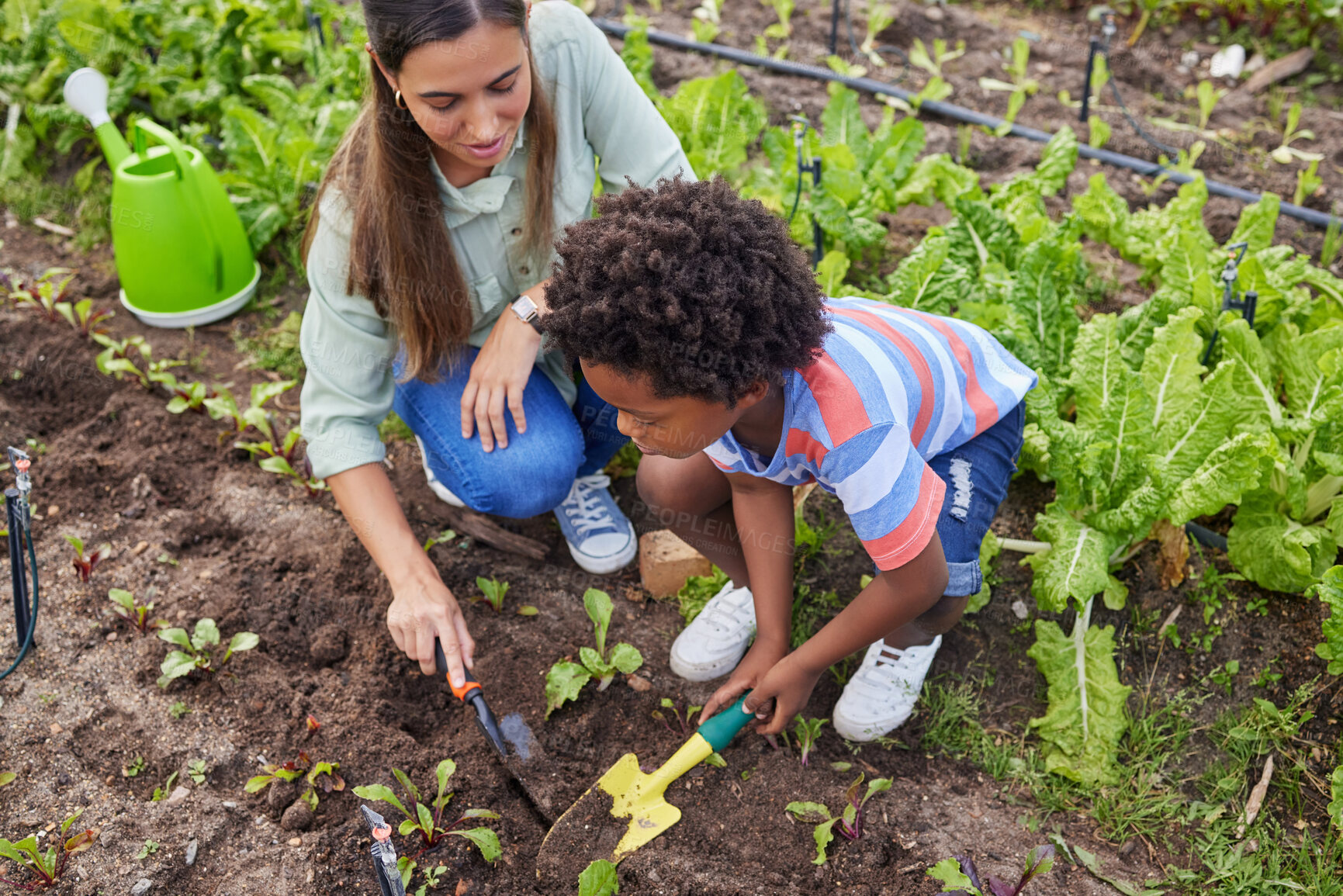 Buy stock photo High angle shot of an attractive young woman and adorable little boy working on a farm