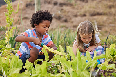 Buy stock photo Full length shot of two adorable little kids working on a farm