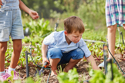 Buy stock photo Full length shot of an adorable little boy working on a farm with his friends