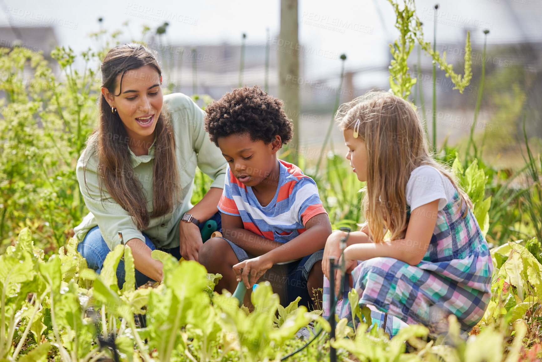 Buy stock photo Full length shot of an attractive young woman and two adorable little kids working on a farm