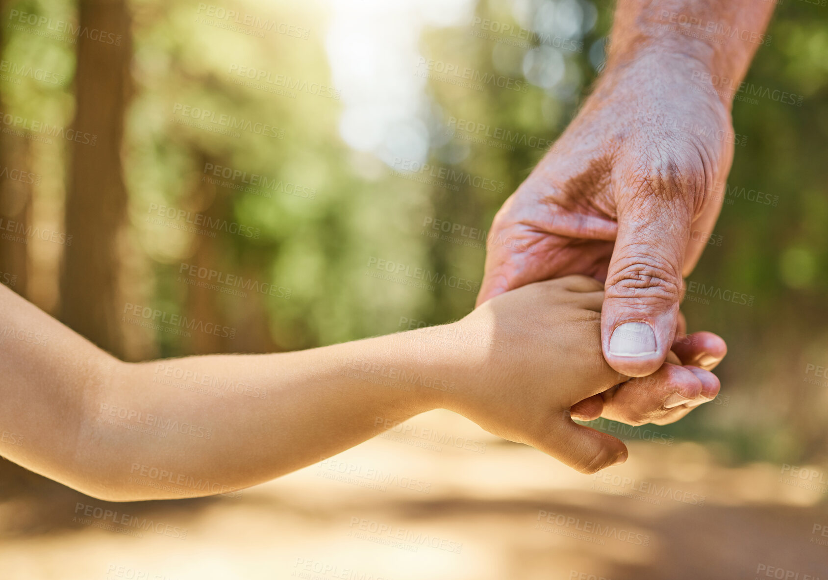 Buy stock photo Closeup, holding hands and senior man with son, forest or support with peace, love or care with bonding. Zoom, male person or kid touching palms, helping hand or freedom in nature, adventure and walk