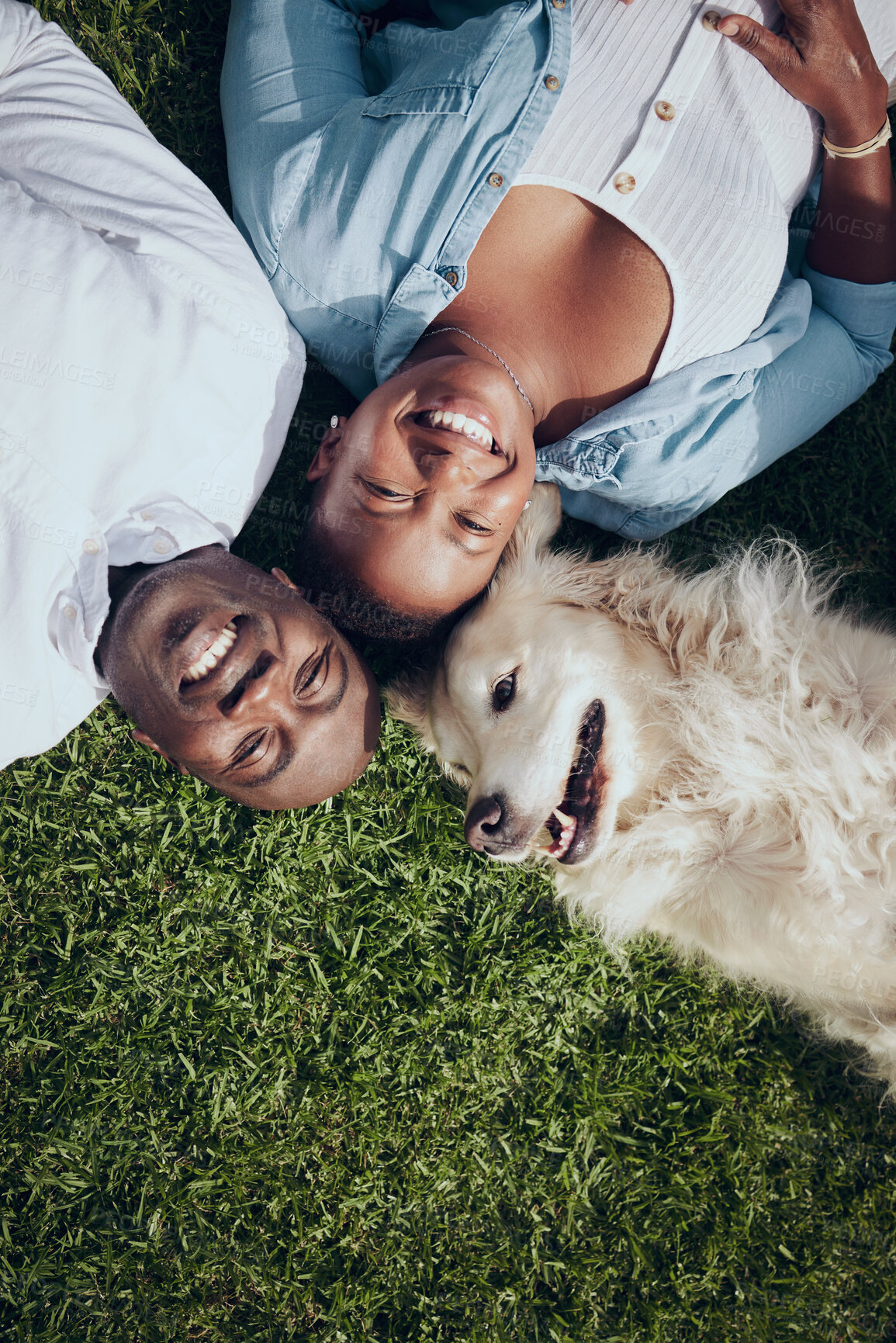 Buy stock photo Couple, dog and relax in portrait on grass for bonding, protection and support with companion in nature. Black people, above and happy with pet on lawn for security, loyalty and connection in garden