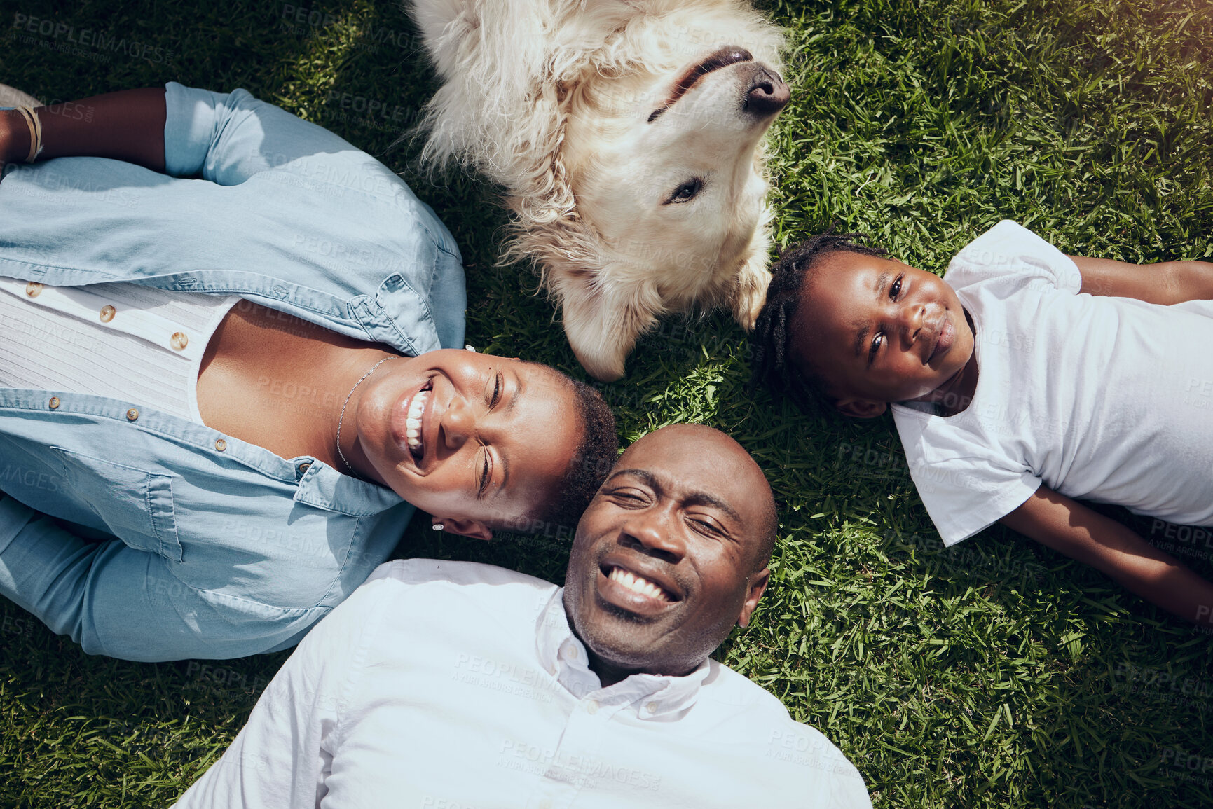 Buy stock photo Shot of a young family lying on the grass with their dog in their garden at home