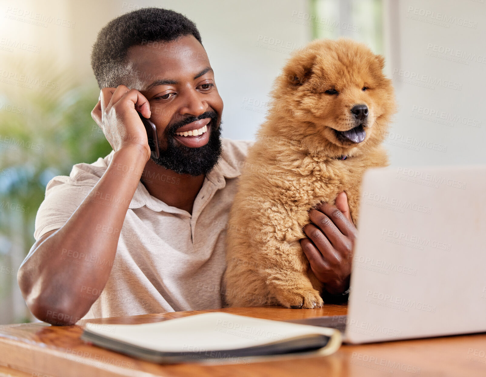 Buy stock photo Black man, phone call and laptop on table for remote work, holding dog and freelance job. Networking, communication and person on computer for planning, online discussion and conversation in house