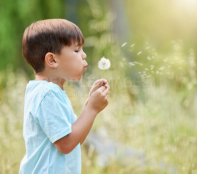 Buy stock photo Nature, flowers and child blowing dandelion for wishing, hope and growth in environment. Spring mockup, childhood and profile of young boy with wildflower in park for adventure, freedom and happiness