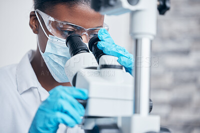 Buy stock photo Science, woman scientist using a microscope and in a lab for health analytics. Chemistry specialist or medical, biotechnology and female doctor or surgeon for biology research in a laboratory.