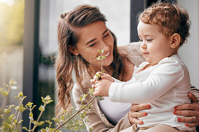 Buy stock photo Happy woman, baby and together on porch for love, development and bonding at home. Mom, curious boy and touching plants outside for growth, trust and smiling with hug for joy, protection and wellness