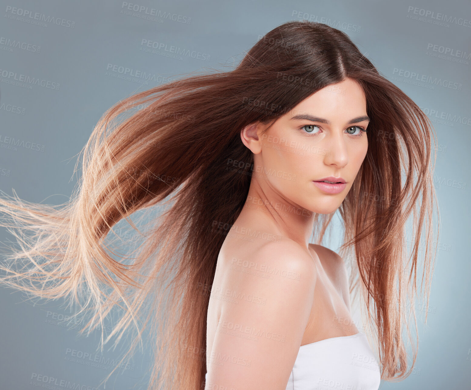 Buy stock photo Studio shot of a beautiful young woman showing off her long brown hair