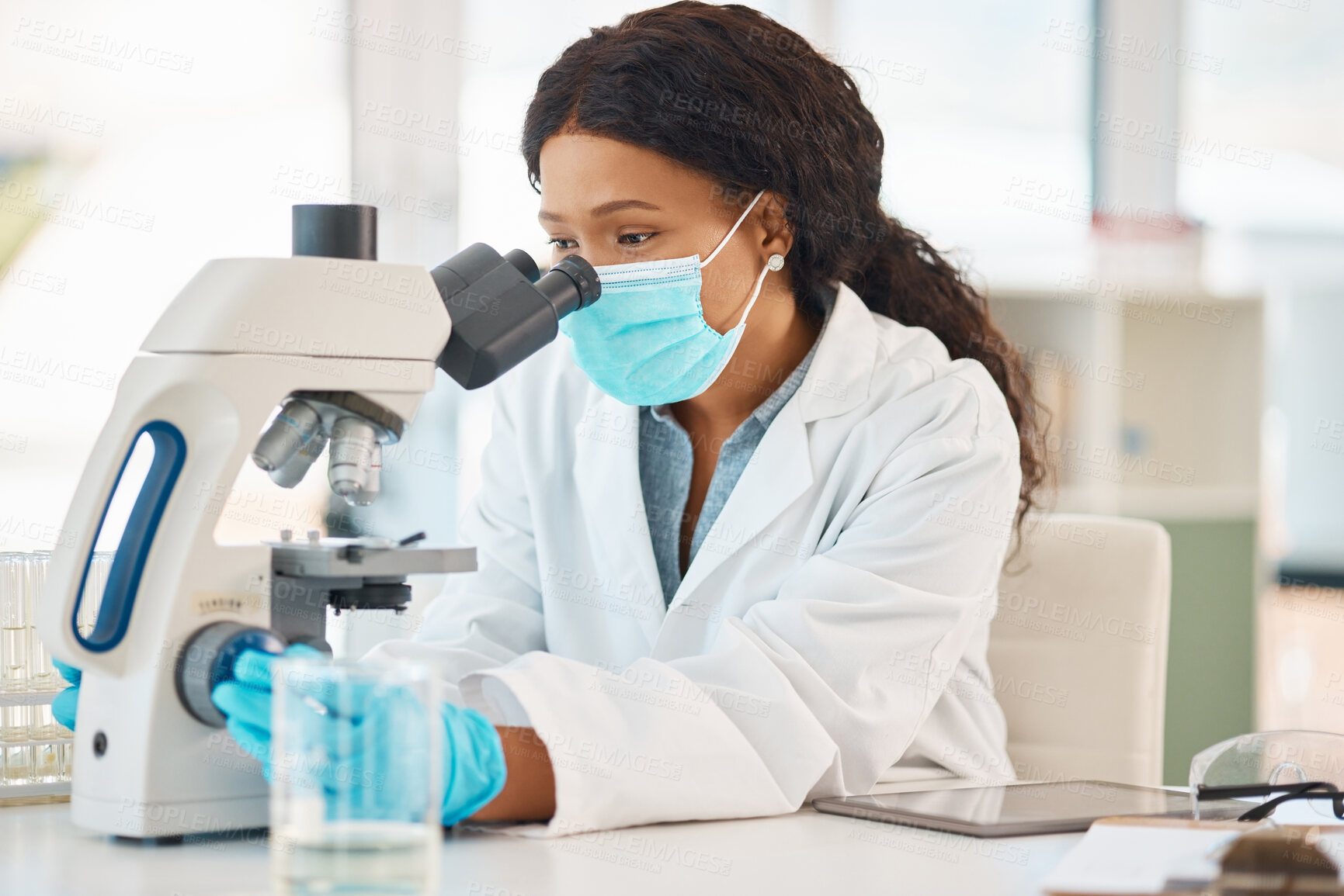 Buy stock photo Shot of a young scientist using a microscope in a lab