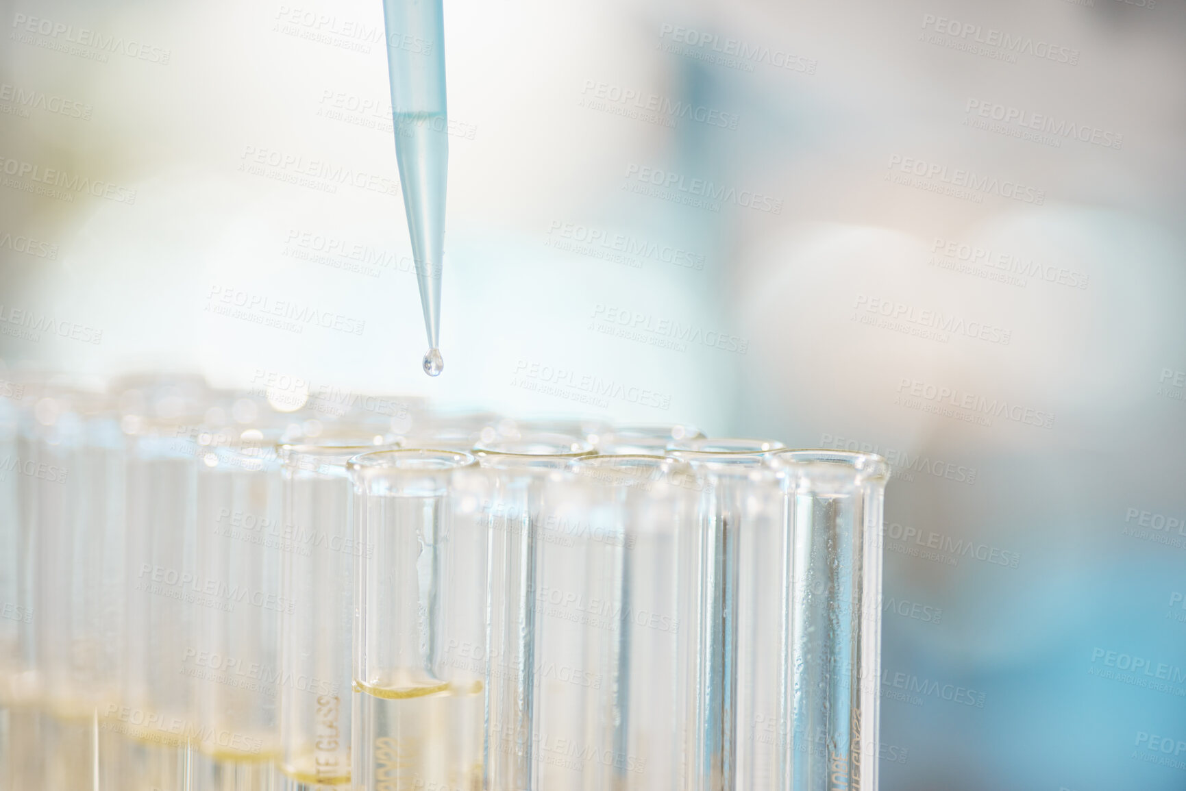 Buy stock photo Science, chemical and pipette by test tubes in laboratory for vaccine development, research or experiment. Pharmaceutical, medical liquid and dropper by glass vials for dna analysis or discovery.