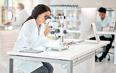 Buy stock photo Shot of a young scientist using a microscope in a lab