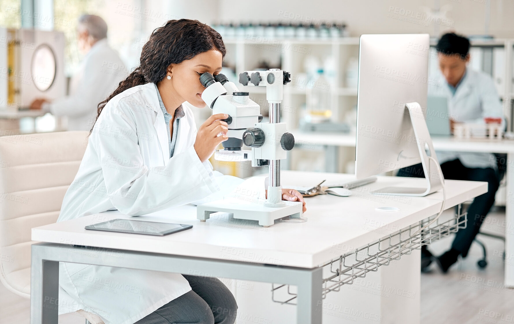 Buy stock photo Science, woman and scientist with microscope in laboratory for observation, research and biology experiment for study. Girl, biotechnology and medical analysis for disease diagnosis and healthcare.