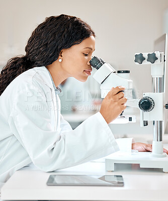 Buy stock photo Black woman, scientist and microscope with healthcare in lab for science research, virus analysis and experiment. African, female person and biotechnology for investigation, check dna or exam results