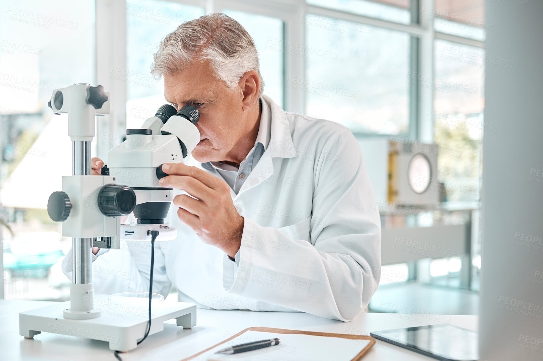 Buy stock photo Microscope, science and mature man in laboratory for breakthrough, experiment or investigation. Medical, research and sample with scientist working on innovation for pharmaceutical cure or vaccine