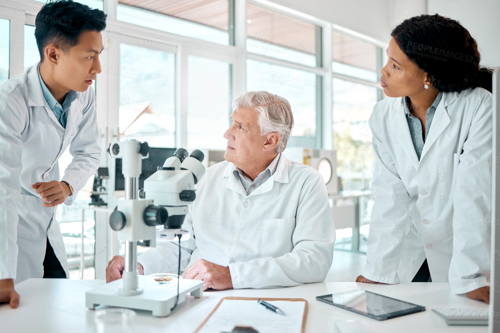 Buy stock photo Science, team and people with discussion in laboratory for medical research, consulting and solution. Scientist, microscope and employee with conversation for vaccine study, support or clinical trial