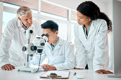 Buy stock photo Shot of a group of scientists using a microscope to analyse a marijuana bud in a lab