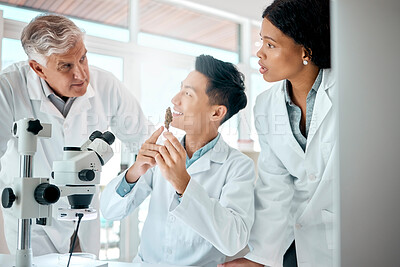 Buy stock photo Shot of a group of scientists analysing a marijuana bud in a lab
