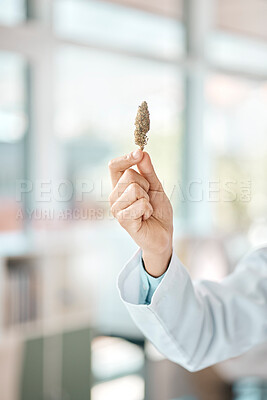 Buy stock photo Closeup shot of an unrecognisable scientist holding a marijuana bud in a lab