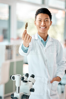 Buy stock photo Scientist, marijuana and laboratory for medical research, science and specimen in pharmaceutical or medicine. Asian man, cannabis and sample for innovation in healthcare, pathology or biochemistry