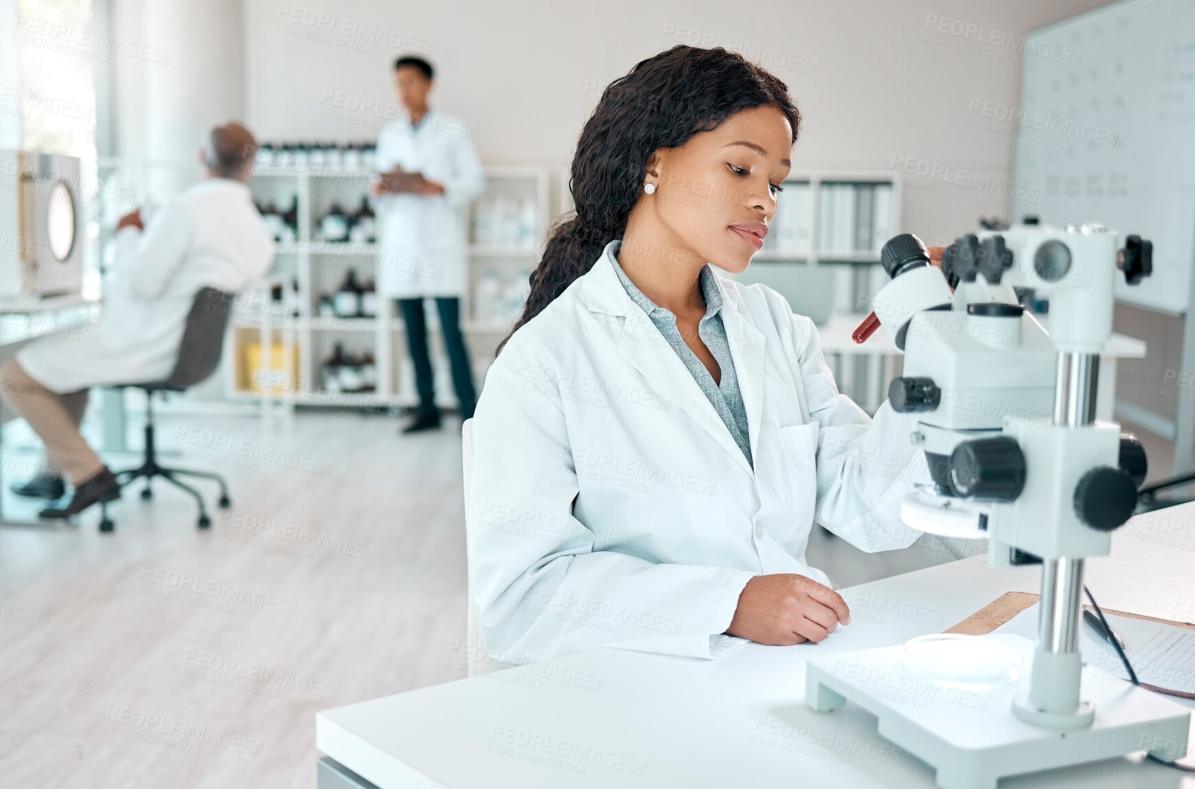 Buy stock photo Shot of a young scientist analysing samples while using a microscope in a lab