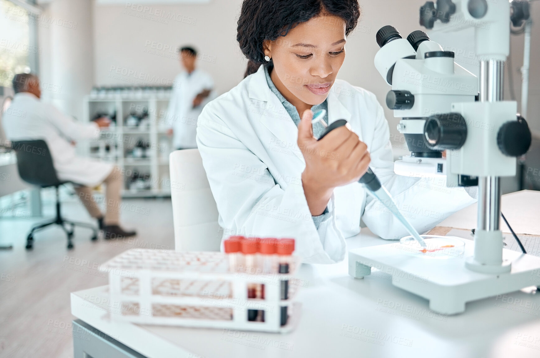 Buy stock photo Black woman, scientist, and pipette with blood test in lab for microscope experiment, dna study and gene engineering. Healthcare. person and biotechnology, virus and medical data for vaccine medicine