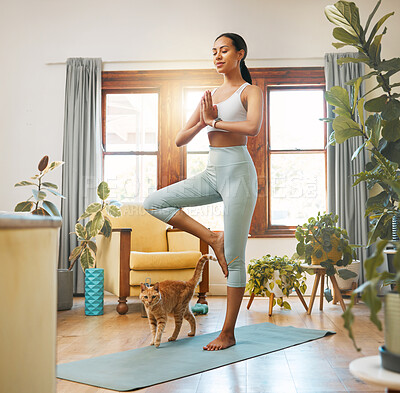 Buy stock photo Yoga, fitness woman and cat for meditation, training and balance at home in living room, wellness and holistic health. Biracial person meditate, prayer or tree pose in pilates workout for healing
