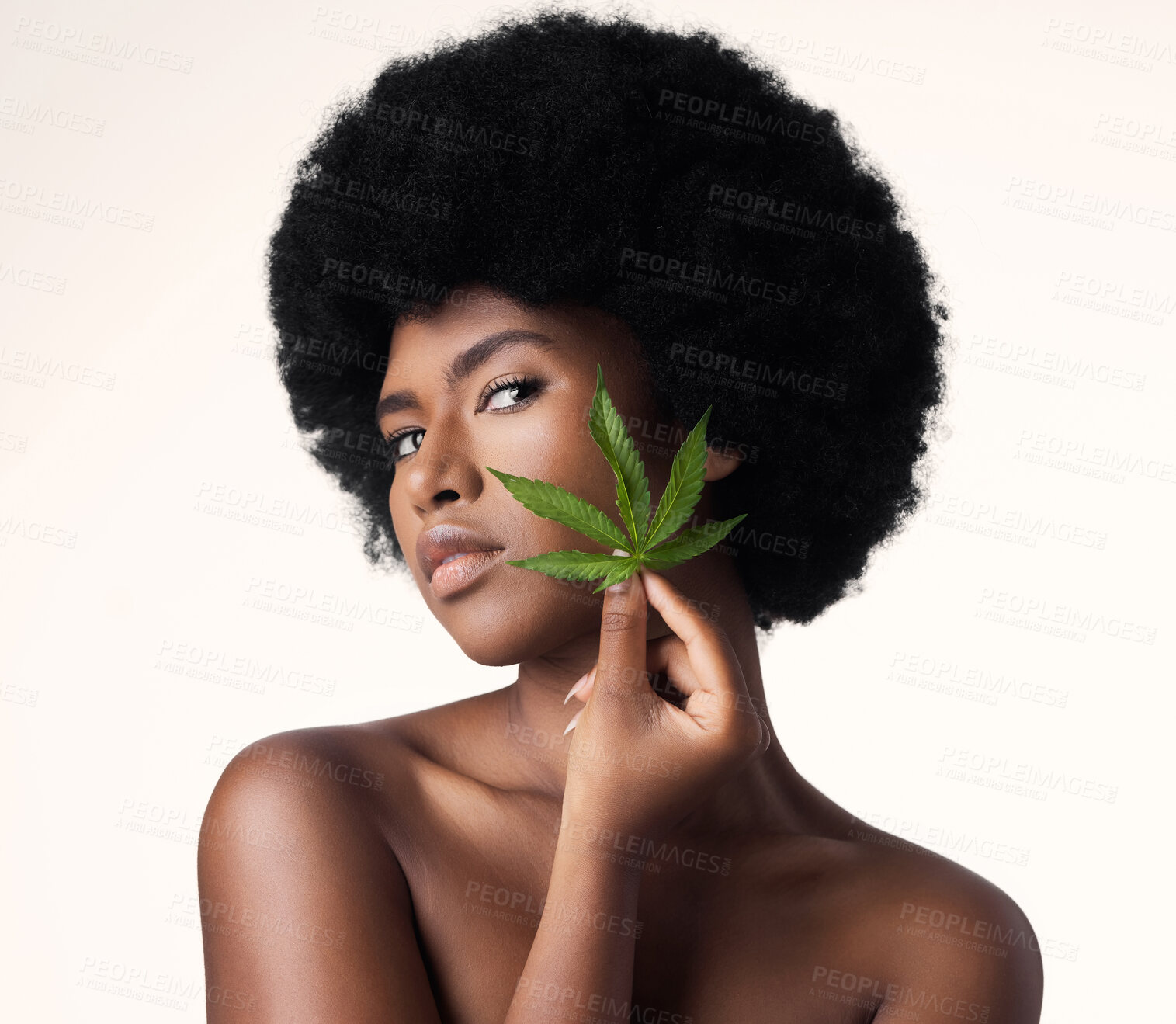 Buy stock photo African woman, leaves and CBD in studio portrait for wellness, cosmetics or skincare by white background. Girl, model and hemp for beauty, makeup or natural glow on skin for aesthetic, afro or health