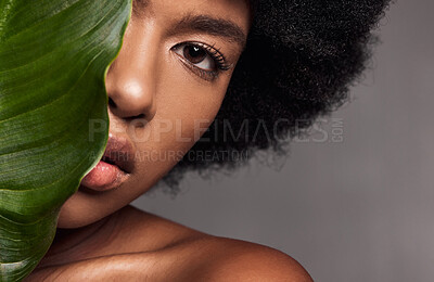 Buy stock photo Black woman, eye and leaf, natural beauty and eco friendly cosmetics with facial on studio background. Face, portrait and African model with lashes, skincare and glow with sustainable dermatology